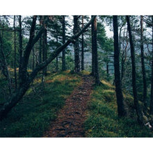 Load image into Gallery viewer, FALSE