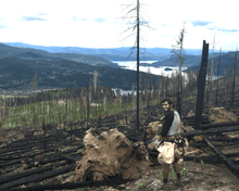 Load image into Gallery viewer, British Columbia