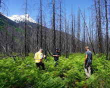 Load image into Gallery viewer, British Columbia
