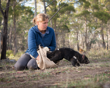 Load image into Gallery viewer, FALSE