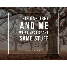 Load image into Gallery viewer, Tree Quote Card