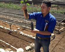 Load image into Gallery viewer, Honduras
