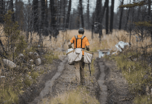 Plant Trees Where They're Needed Most